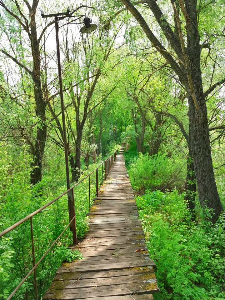 Path
