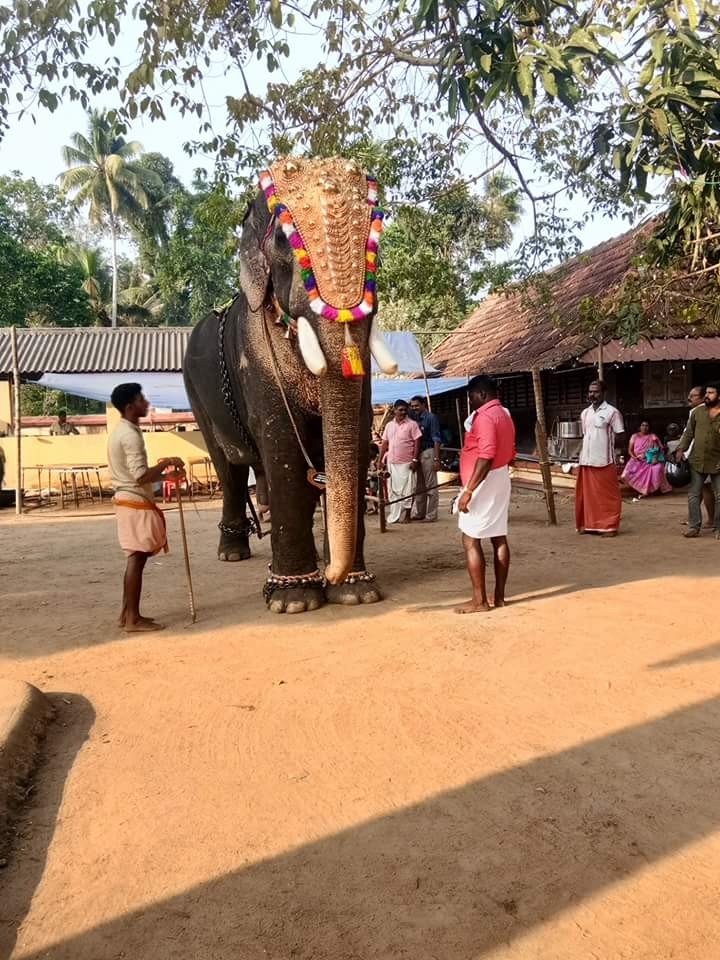saran