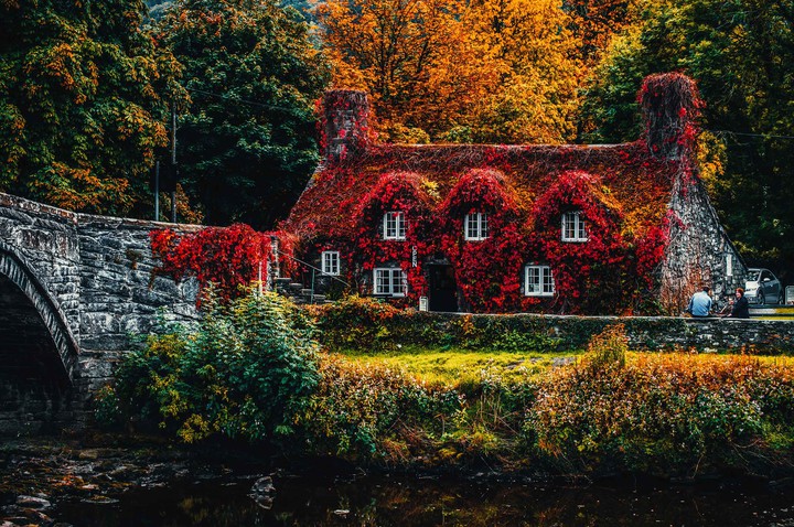 awesome wallpaper. ?