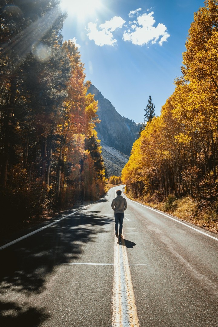 nice look
