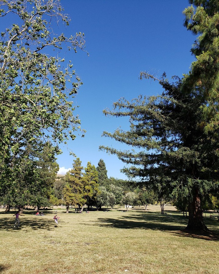 Sunny weekend in a park