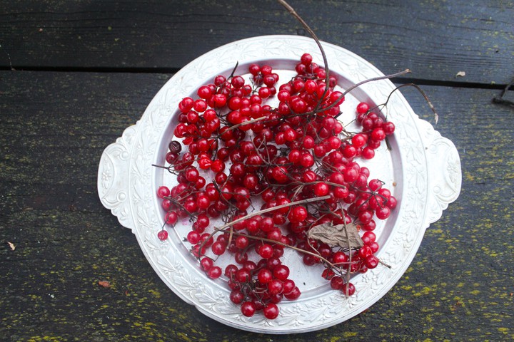 Red berrys