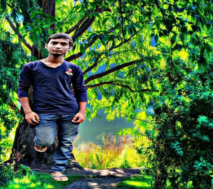 Fruit Anwar