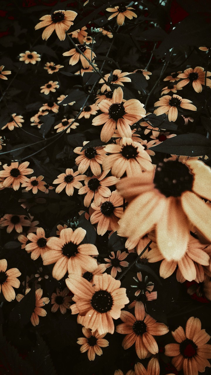 Фотодня.