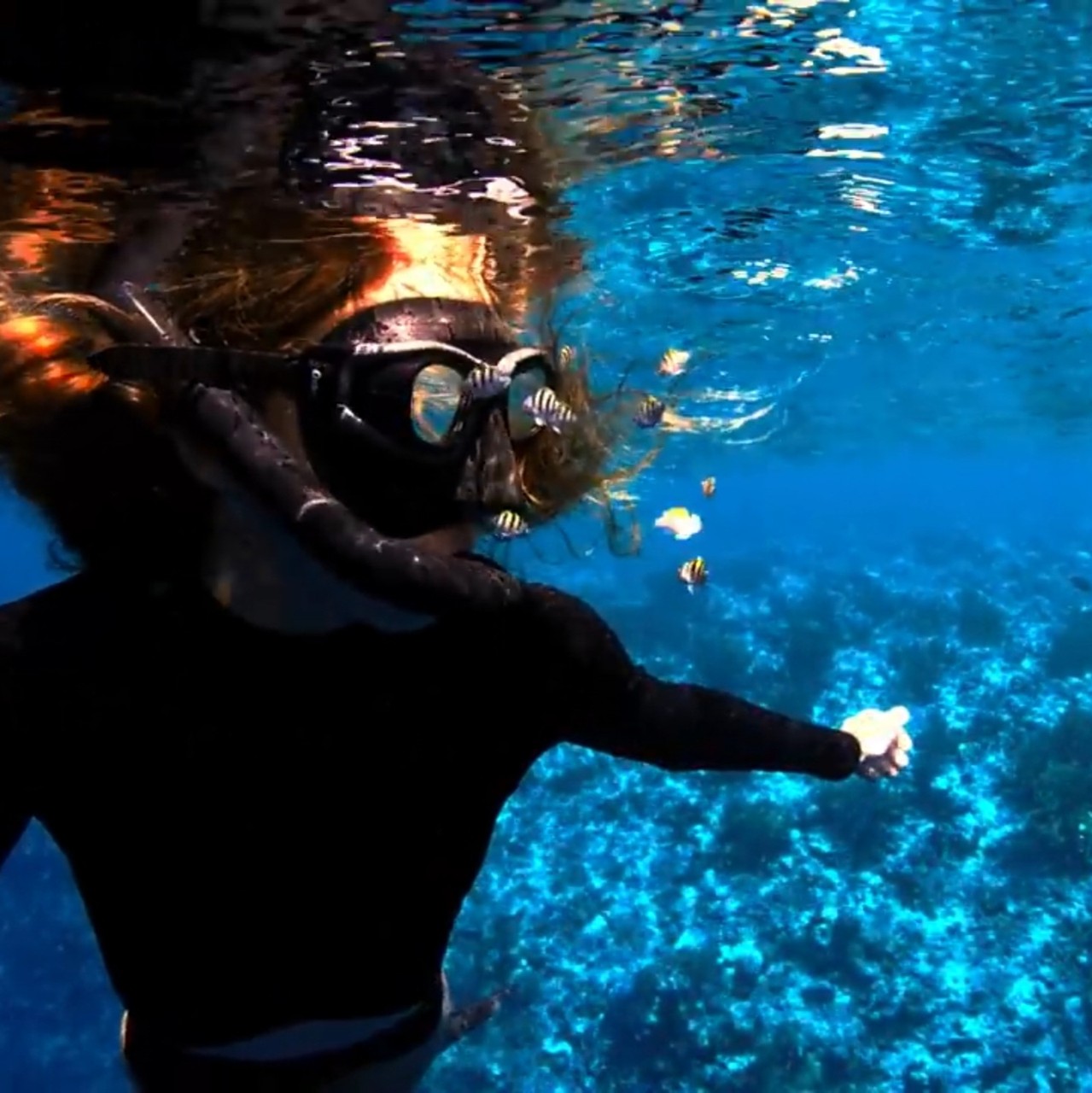 sfondi divemaster, Snorkeling