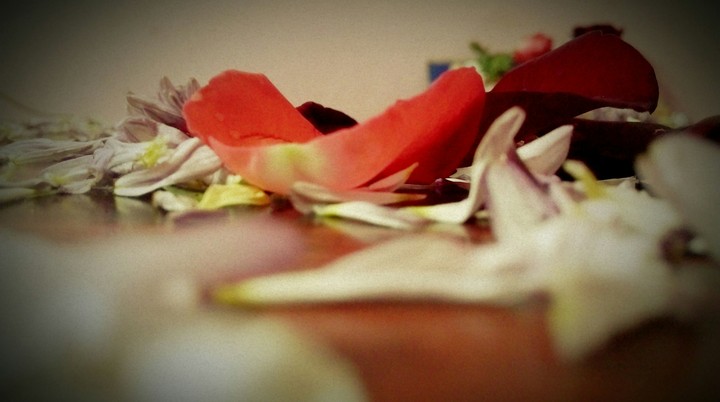 rose