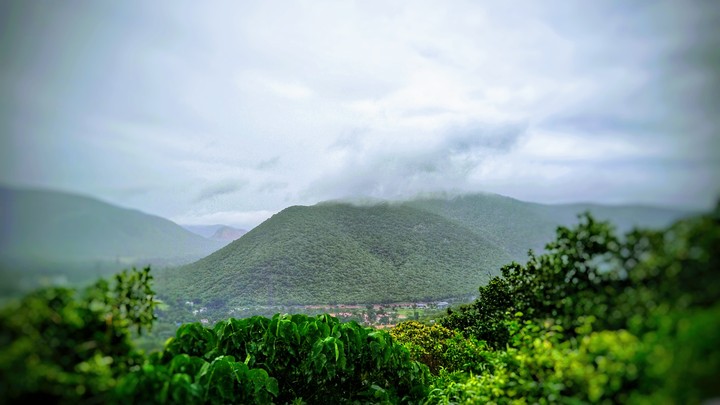 NATURE