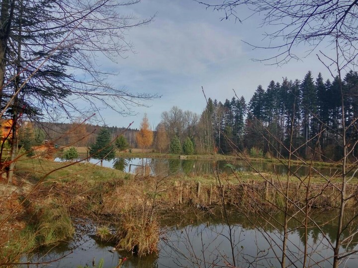 Bucovina is my place