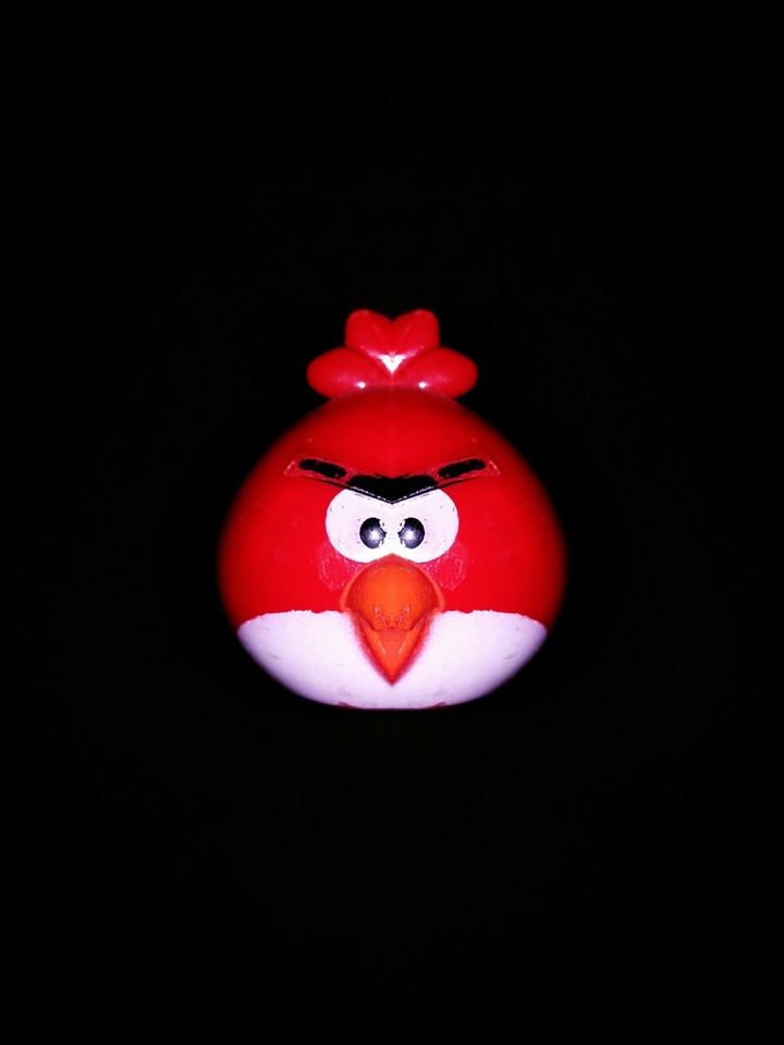 Angry Bird