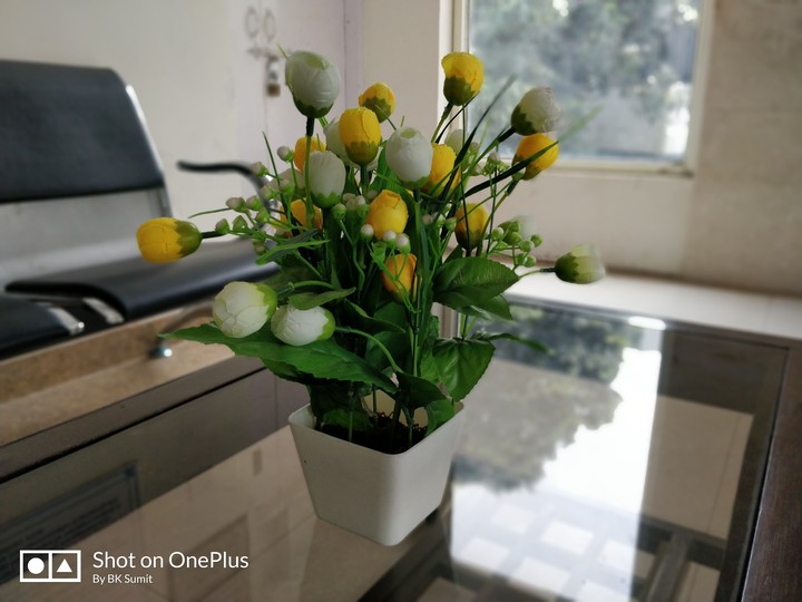 A bunch of flowers