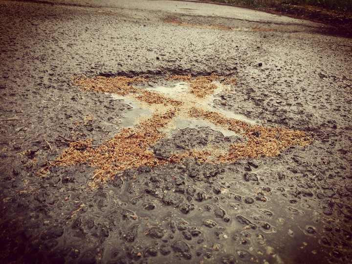 rain