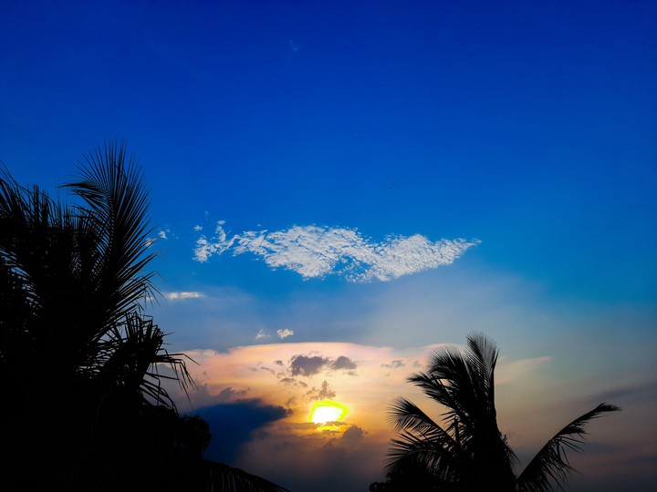 Sunset Diaries