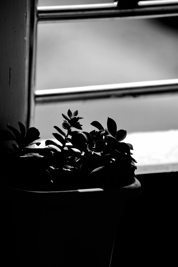 Black and White