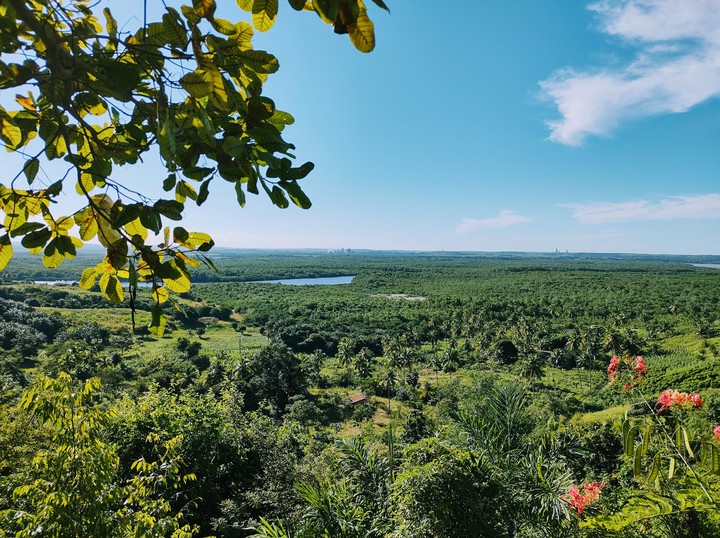 A Natureza Não Faz Nada Em VÃO.
