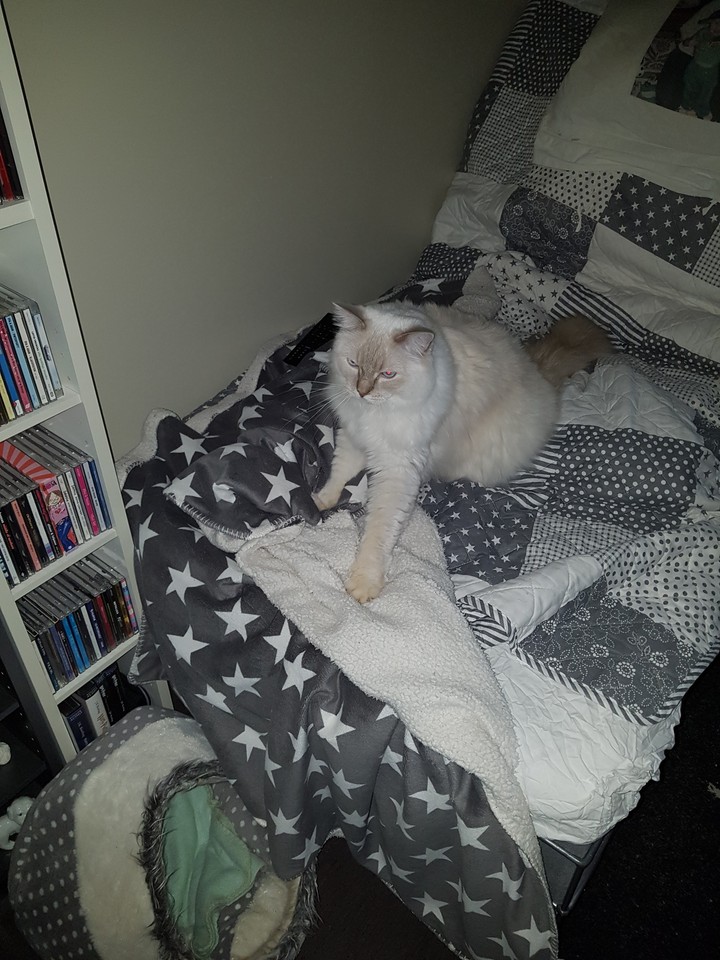 My Simba