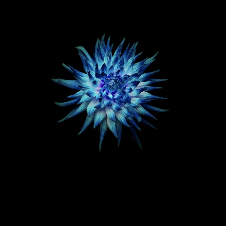 Huawei Mate 10 Lite