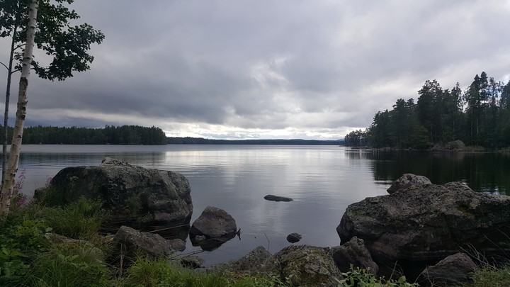 nature