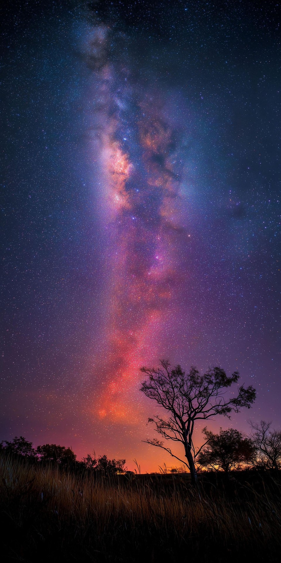רקעים astronomy, ecoregion