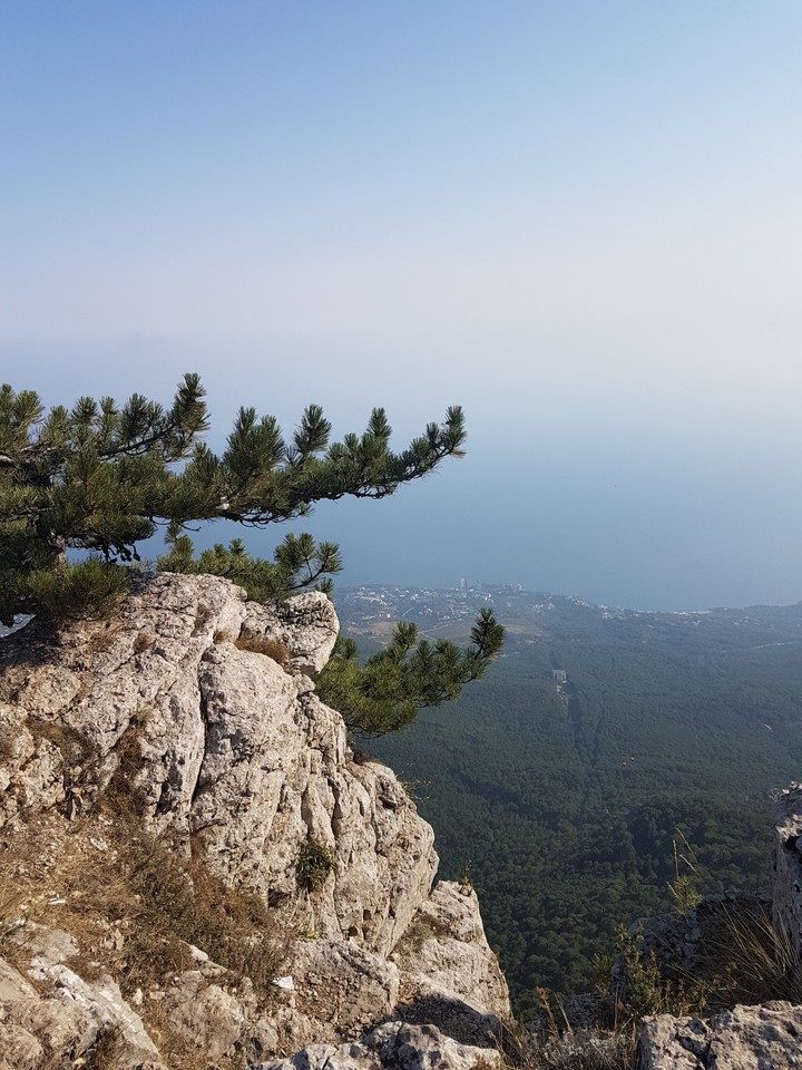 Crimea