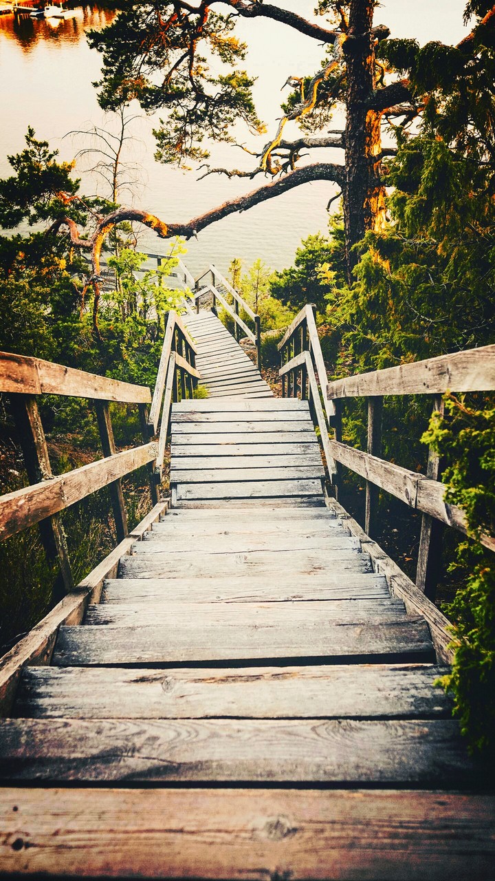 Bridge