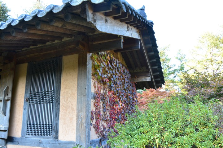 수목원이미지