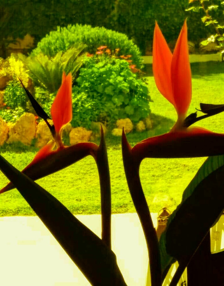 STAMATIOS