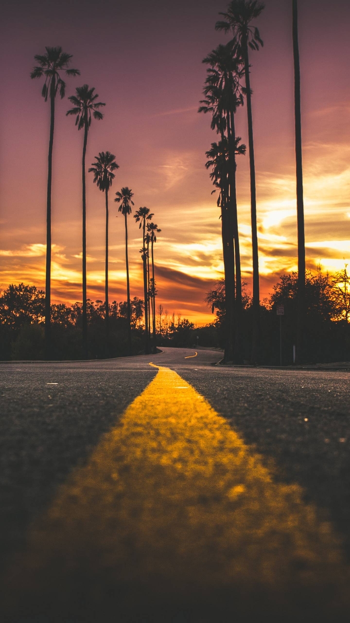 Roadside Sunset