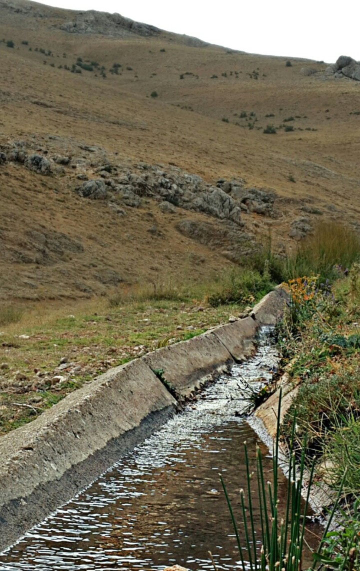 manzara