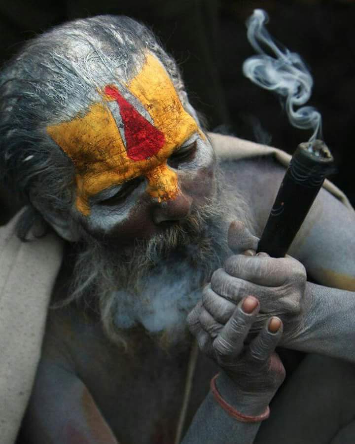 aghori