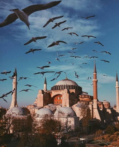 Ayasofya Çamii جامع آياصوفيا Ayasofya Masjid