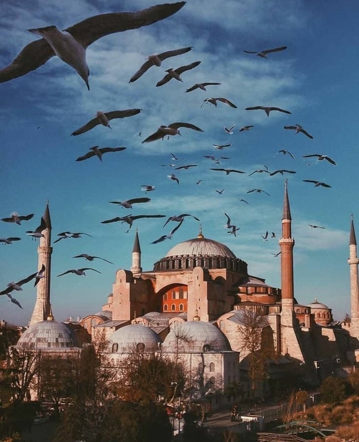 Ayasofya Çamii جامع آياصوفيا Ayasofya Masjid