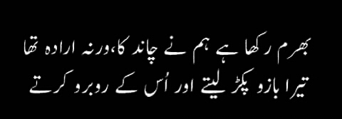 Urdu Poetry
