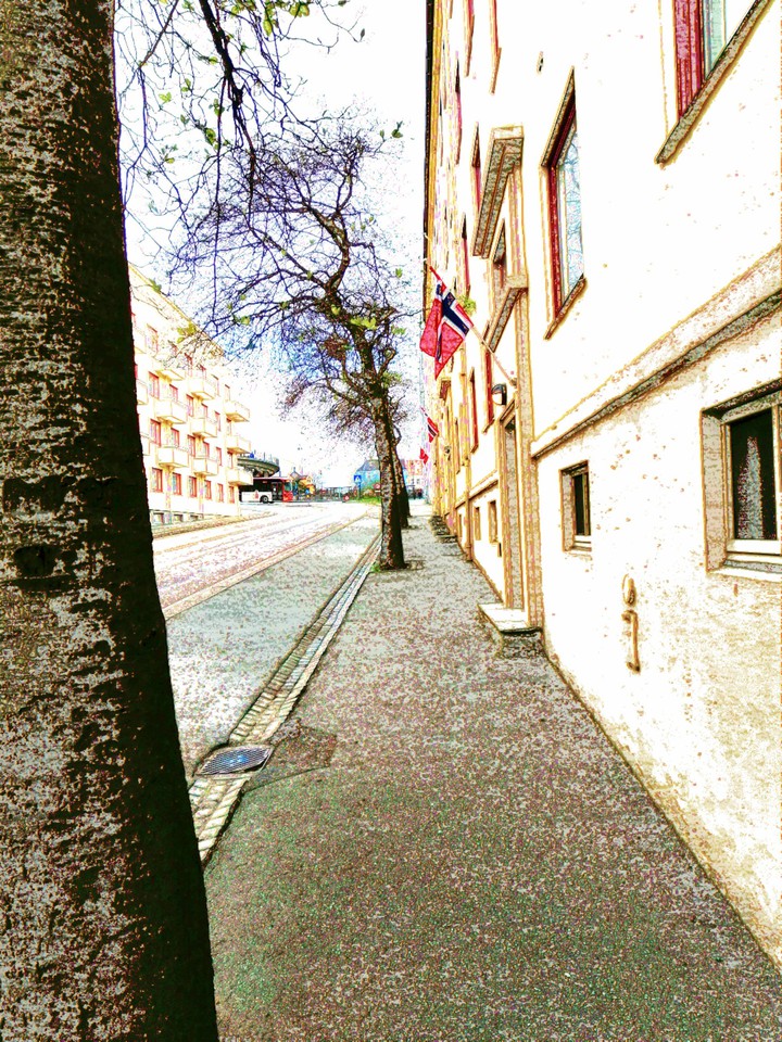 tree