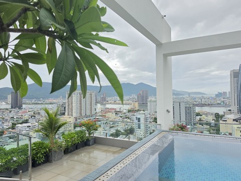 ταπετσαρίες Apartment, houseplant