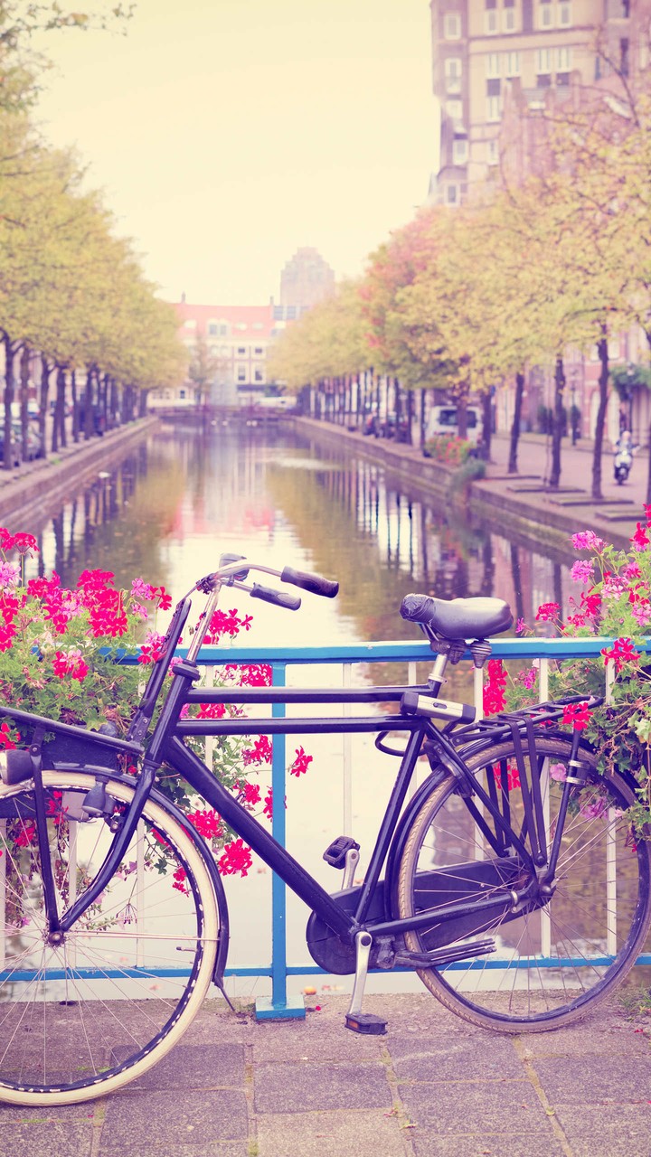 Bycicle
