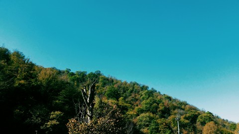 sfondi nature, ecosystem