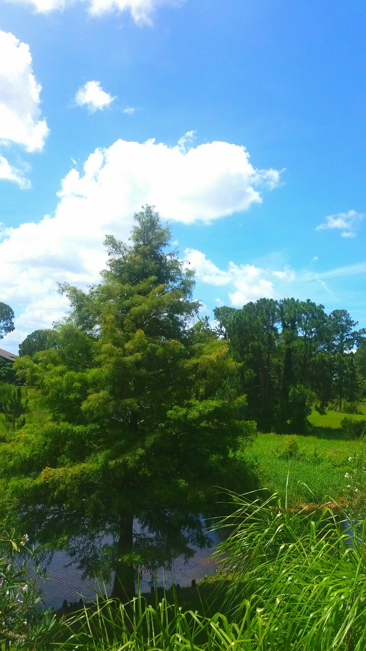 beautiful view taken from my balcony