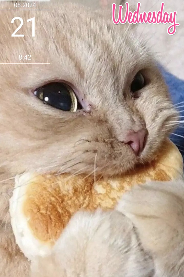 .