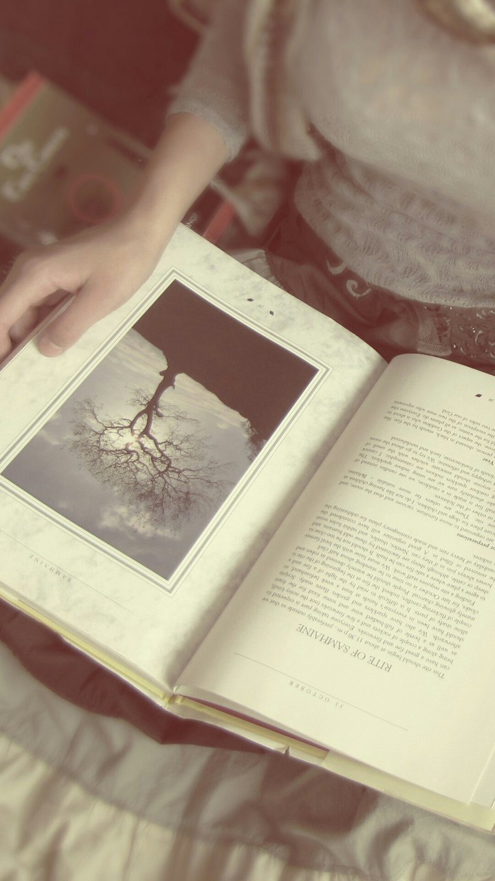Chapters