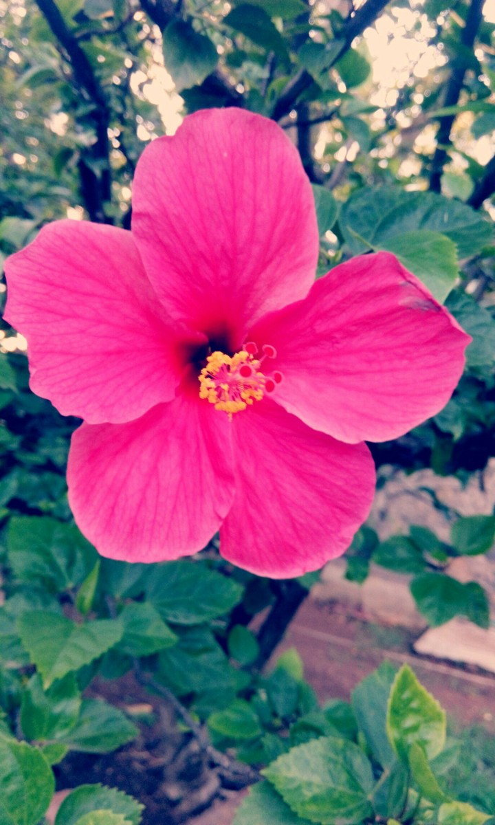 Natural beauty