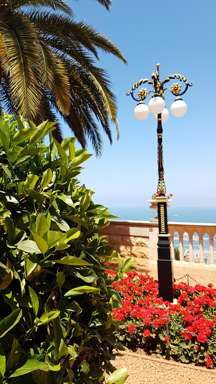 Bahai