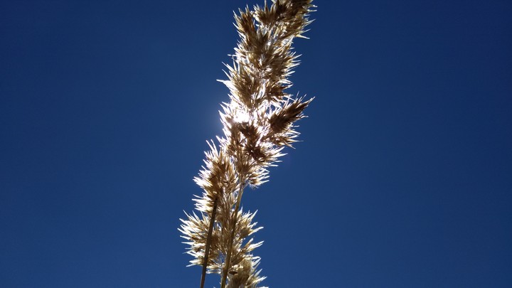 sky