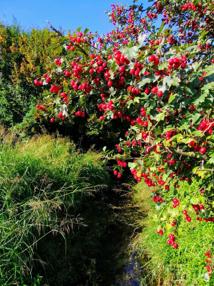 September