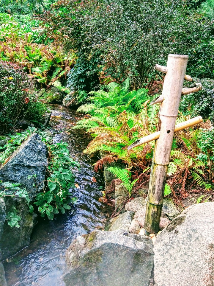 Stream