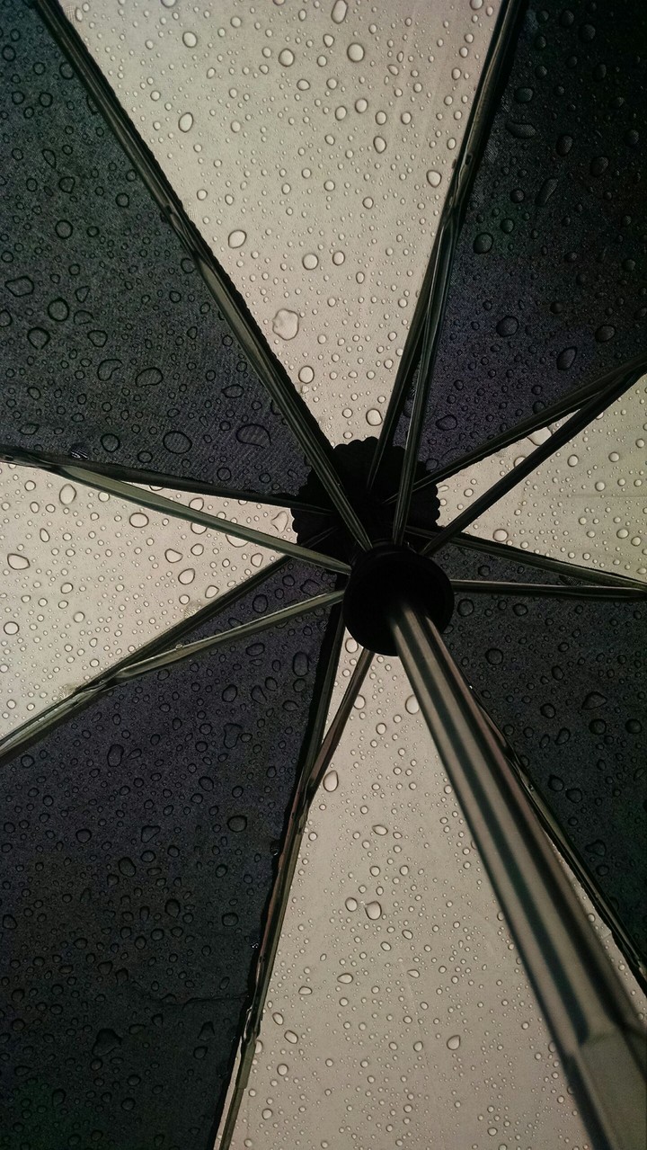 umbrella