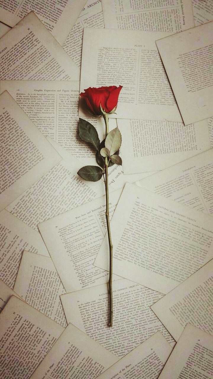 rose