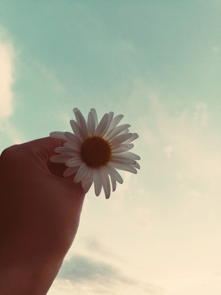 flover