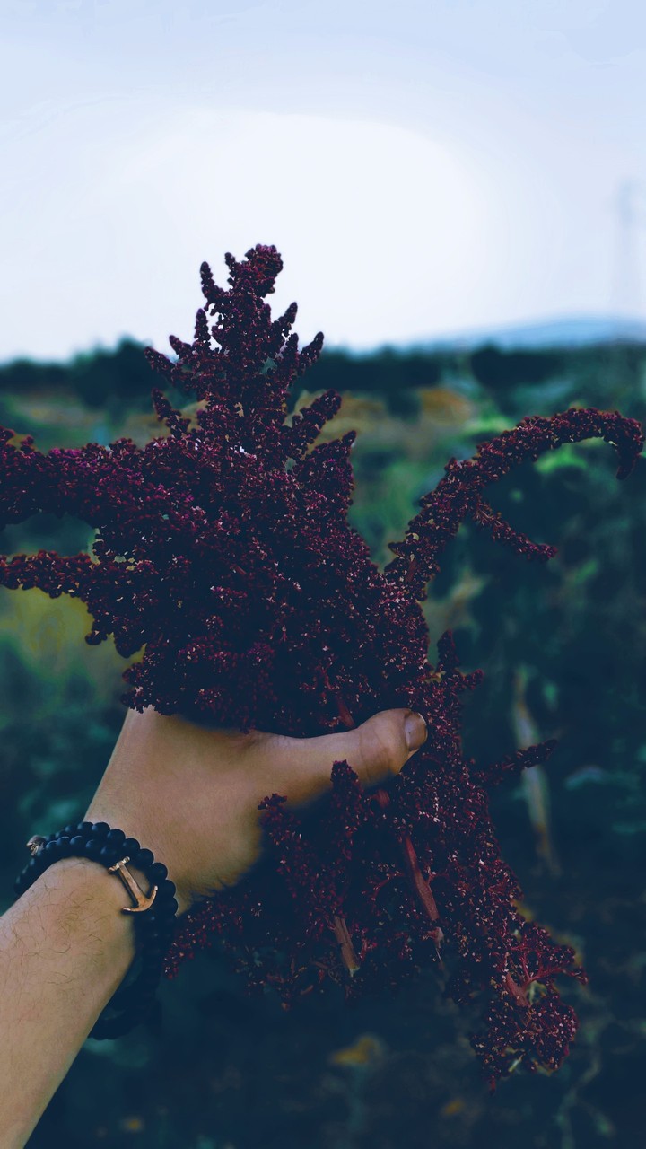 In nature