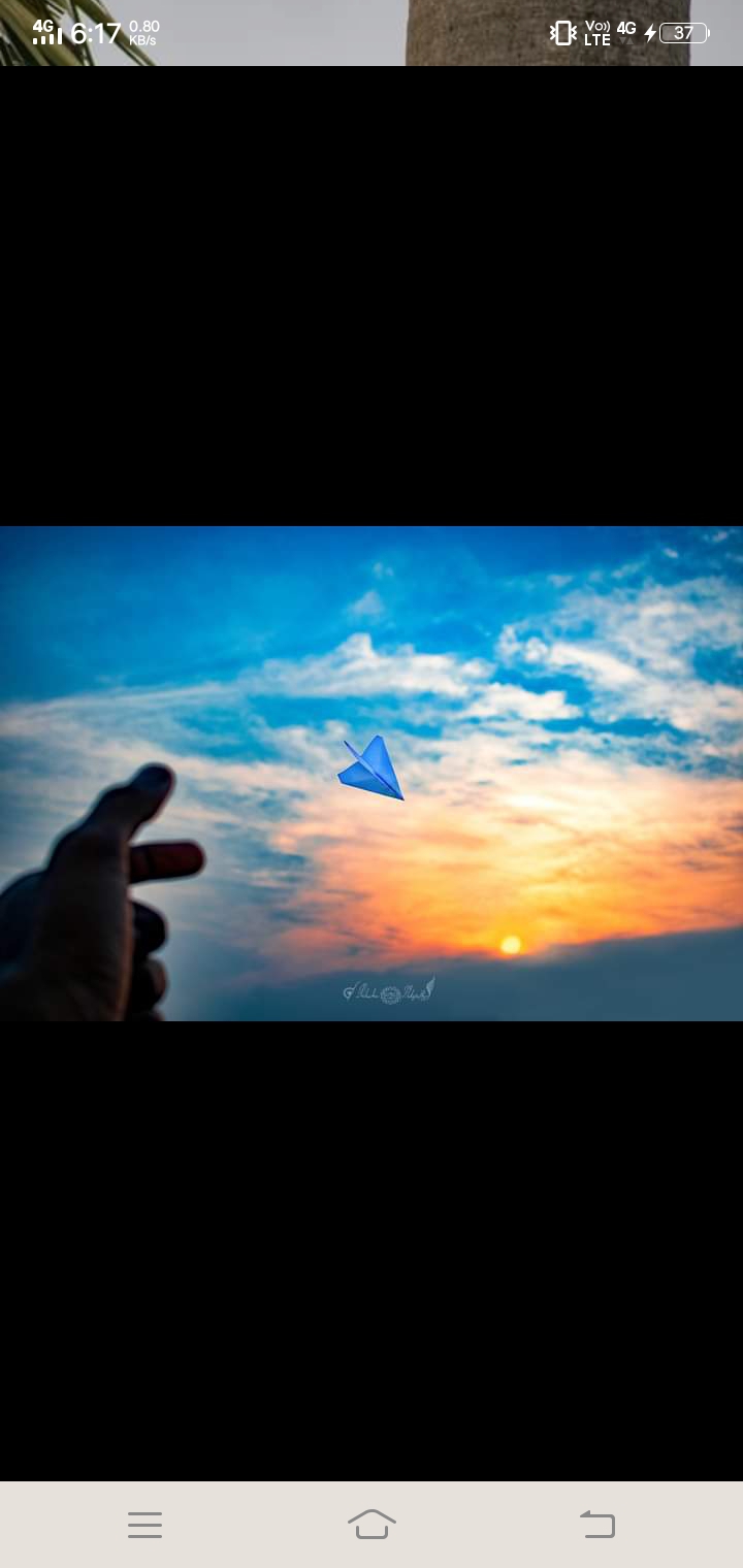 Paper plane✈️✈️✈️