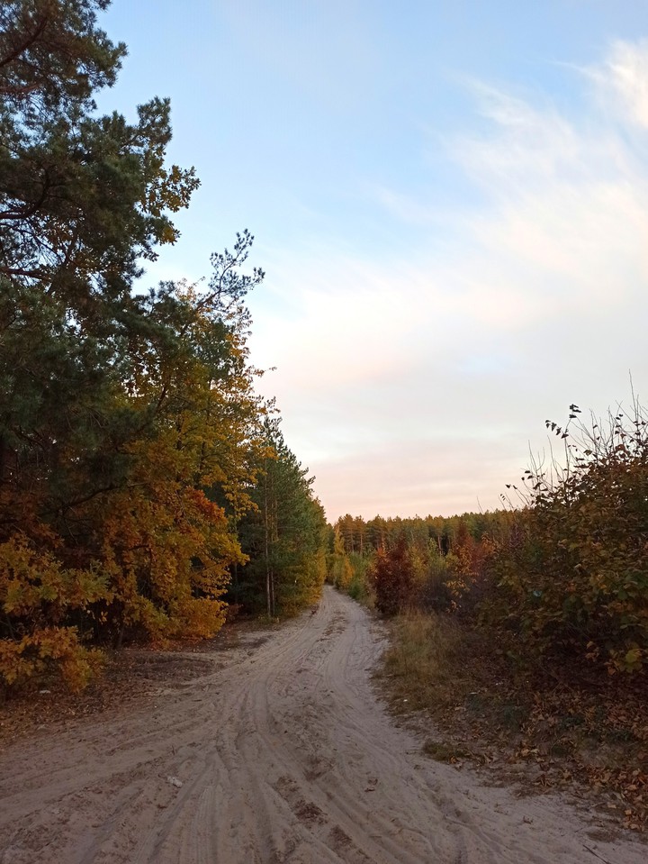 autumn